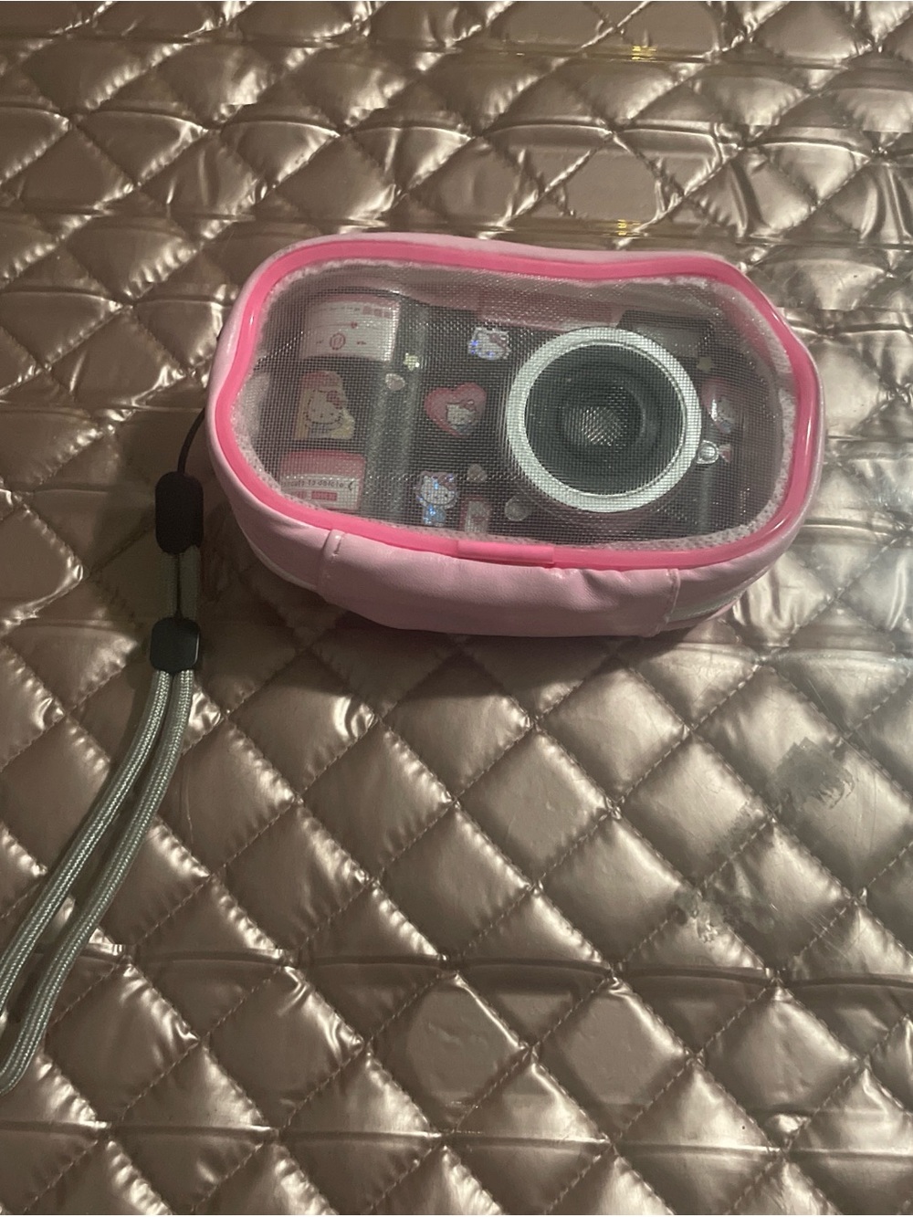 Pink Cute Camera Case with Mesh Top
